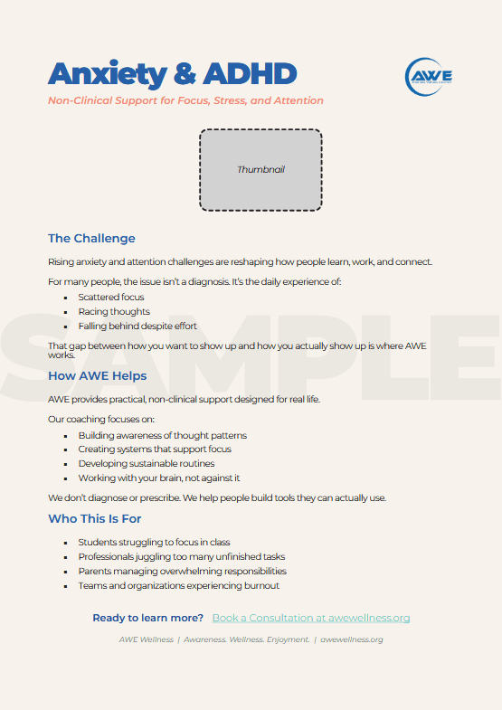 AWE Digital Wellness Marketing PDF / Sales Sheet Design (InDesign)
