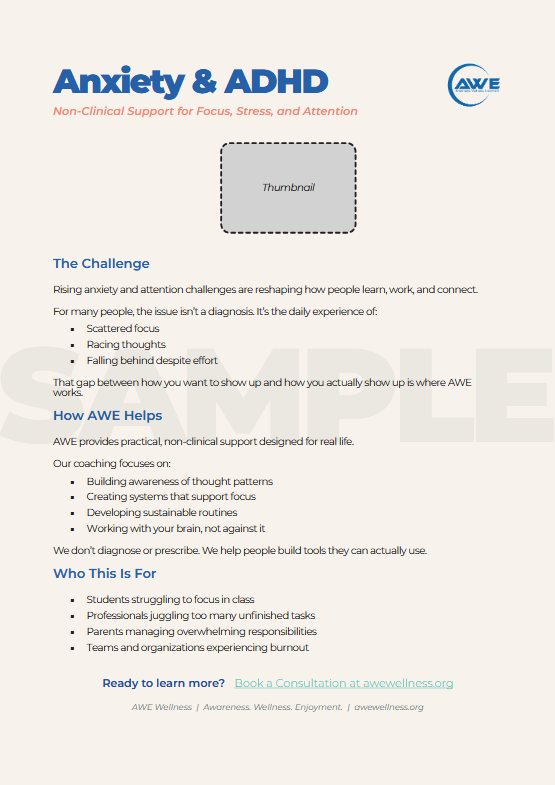 AWE Digital Wellness Marketing PDF / Sales Sheet Design